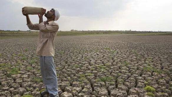50度高溫熱浪？印度怎麽了？世界怎麽了？-ZH中文網