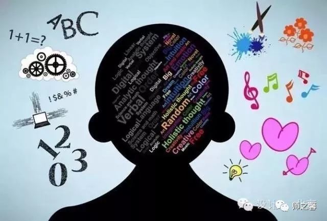 大脑结构影响思维方式？神经成像揭示人脑个体差异