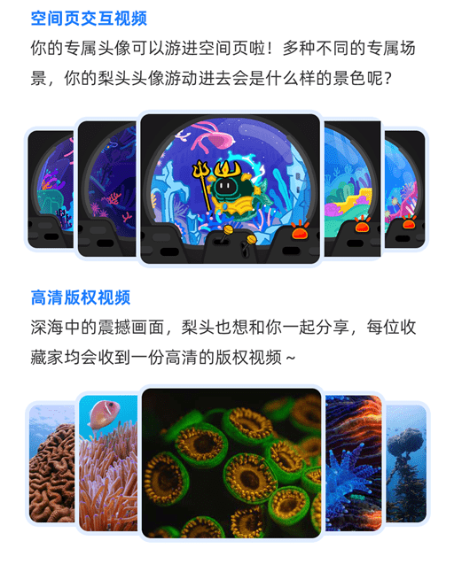 B站发布首个UP主数字藏品，助力创作者数字版权保护_视频_用户_海底世界