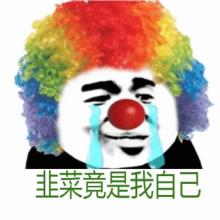 作者的头像