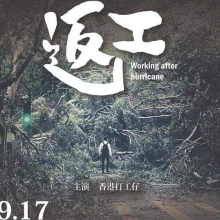 作者的头像