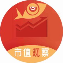 作者的头像